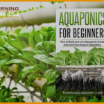 Best Aquaponics Books: 2022 Reviews (Top Picks) And Beginner’s Guide