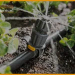 Best Automatic Plant Watering System: 2022 Reviews (Top Picks) And Guide