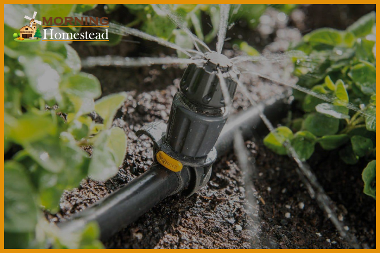Best Automatic Plant Watering System