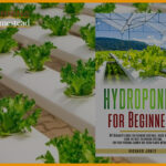 Best Hydroponics Books For Beginner: 2022 Reviews (Top Rated Books) And Guide