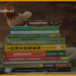 Best Chicken Raising Books, Backyard Chicken Books For Beginners: 2023 Reviews & Guide