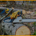 Best Chainsaw Gloves: 2022 Reviews And Guide