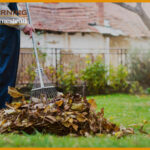 Best Rake For Leaves On Gravel Or Grass: 2022 Reviews And Guide