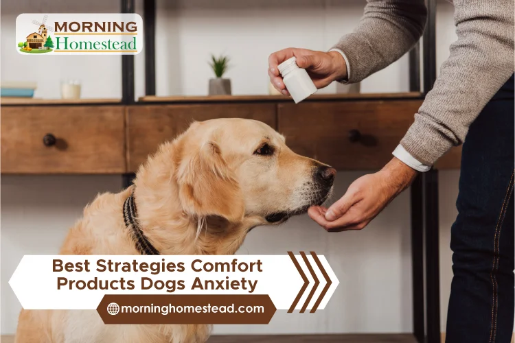 Best-Strategies-Comfort-Products-Dogs-Anxiety