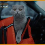 CoBest-Cat-Carriers-For-Nervous-Cats-&-Long-Distance-Travel