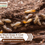 How-Much-Does-It-Cost-To-Get-Rid-Of-Termites