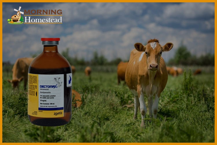 The 5 Best Cattle Wormer To Kill Internal Parasites