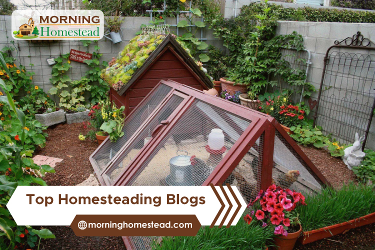 Top-Homesteading-Blogs