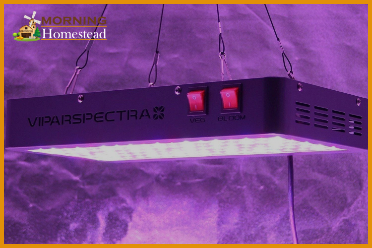 Viparspectra
