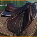 The 5 Best Eventing Saddles That Provide Comfort & Durability [2022]