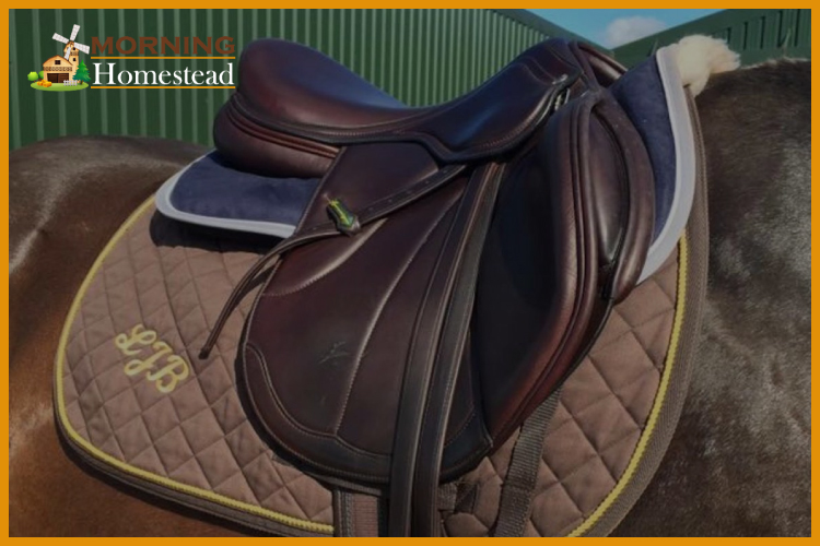 The 5 Best Eventing Saddles That Provide Comfort & Durability [2023]