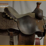 The 5 Best Roping Saddles For The Real Cowboy: 2022 Reviews & Guide