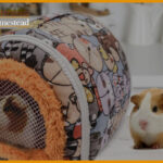 Top 5 Best Guinea Pig Carriers For Traveling: Reviews & Guide [2022]