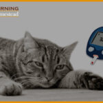 Best-Glucose-Meter-For-Cats-And-Dogs