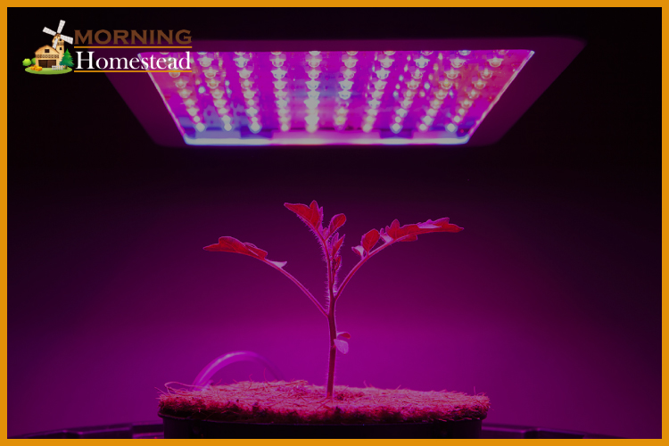 Best LED Grow Lights: 2022 Reviews (Top Picks For The Money) & Guide