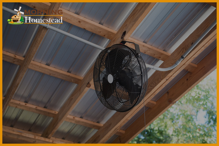 Top 5 Best Horse Stall Fans To Combat The Summer Heat