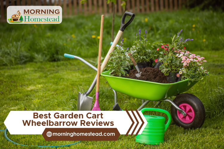 Best-Garden-Cart-Wheelbarrow-Reviews