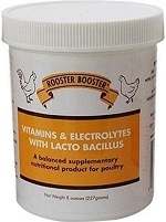 Vitamins and Electrolytes with Lactobacillus