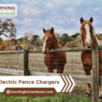 Best-Electric-Fence-Chargers