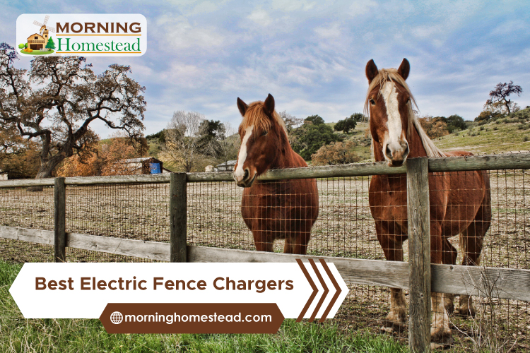 Best-Electric-Fence-Chargers