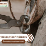 Best-Horses-Hoof-Nippers