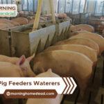 Best-Pig-Feeders-Waterers