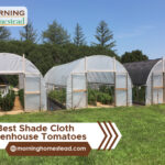 Best Shade Cloth For Greenhouse, Tomatoes, Vegetables, And Orchids