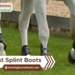 Best-Splint-Boots