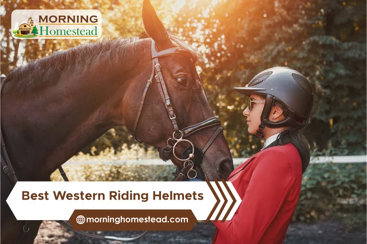 Best-Western-Riding-Helmets