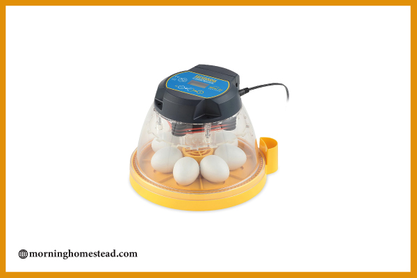 Brinsea-Products-Mini-II-Advance-Automatic-7-Egg-Incubator