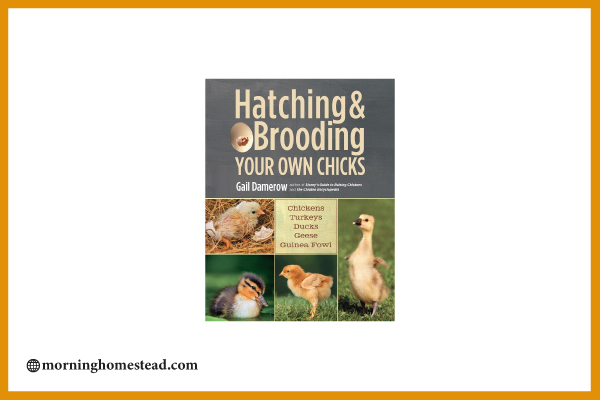 Hatching-&-Brooding-Your-Own-Chicks-Chickens-Turkeys-Ducks-Geese-Guinea-Fowl-by-Gail-Damerow