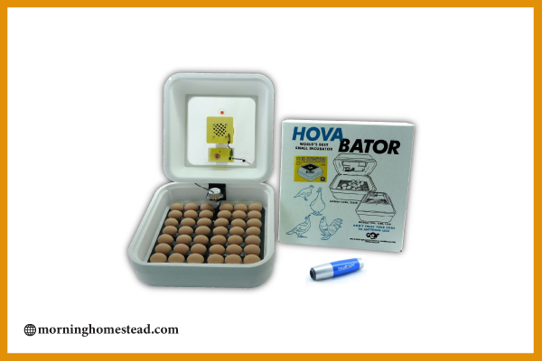 HovaBator-Genesis-1588-Deluxe-Egg-Incubator-Combo-Kit