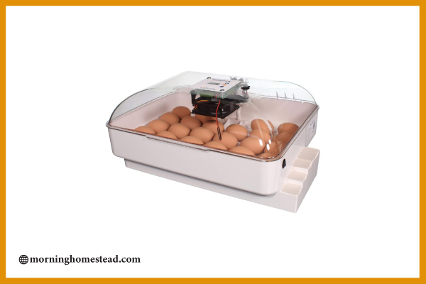 IncuView-All-In-One-Automatic-Egg-Incubator-with-built-in-Automatic-Egg-Turner