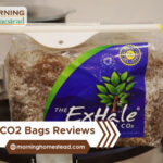 Best-CO2-Bags-Reviews