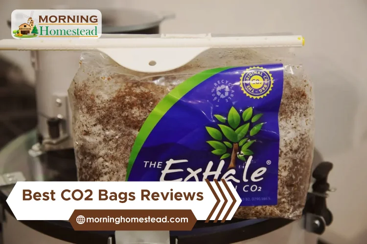 Best-CO2-Bags-Reviews