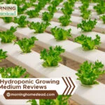 Best-Hydroponic-Growing-Medium-Reviews