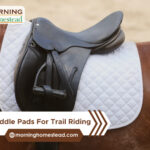 Best-Saddle-Pads-For-Trail-Riding