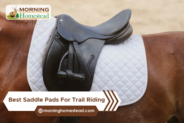 Best-Saddle-Pads-For-Trail-Riding