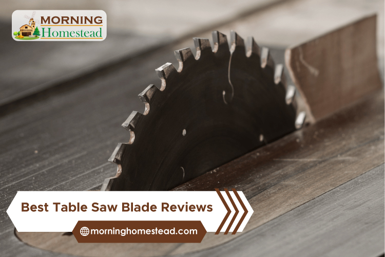 Best-Table-Saw-Blade-Reviews