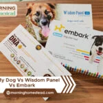 DNA-My-Dog-Vs-Wisdom-Panel-Vs-Embark