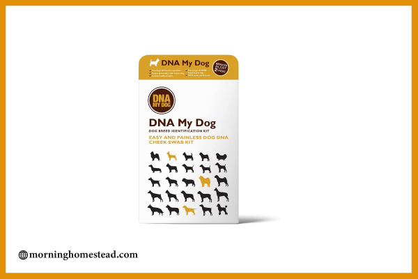 DNA-My-Dog-presents-three-DNA-levels