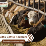 Best-Gifts-Cattle-Farmers