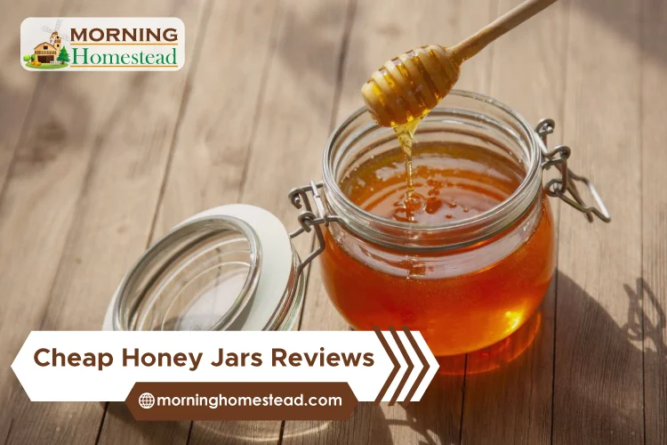 Cheap-Honey-Jars-Reviews