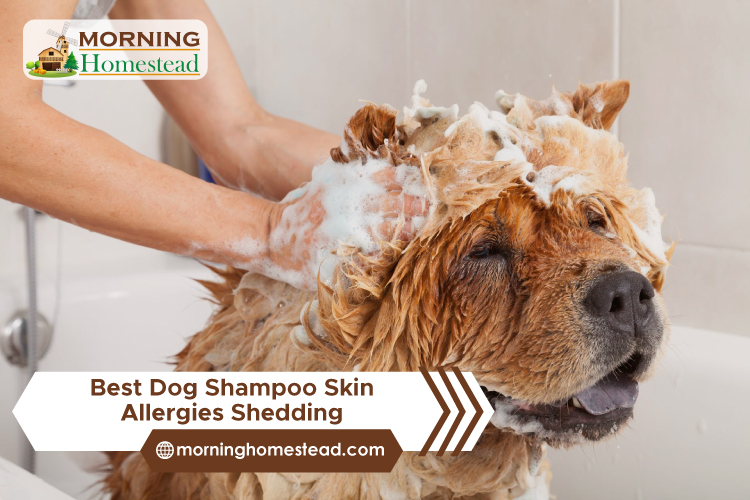 Best Dog Shampoo For Skin Allergies/Shedding: Guide And Reviews