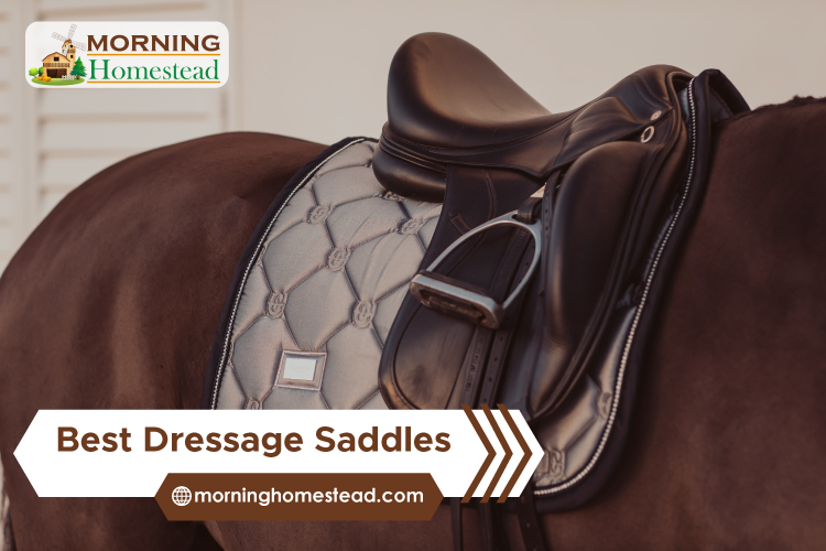 The 5 Best Dressage Saddle & Its Uses & Benefits: Guide & Review [2023]