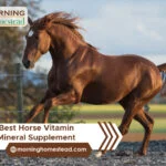 Best-Horse-Vitamin-Mineral-Supplement