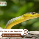 Most-Effective-Snake-Repellent