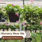 Plant-Nursery-Near-Me