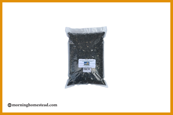 Rex-Black-Oil-Sunflower-Seeds