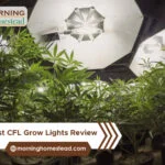 The-Best-CFL-Grow-Lights-Review